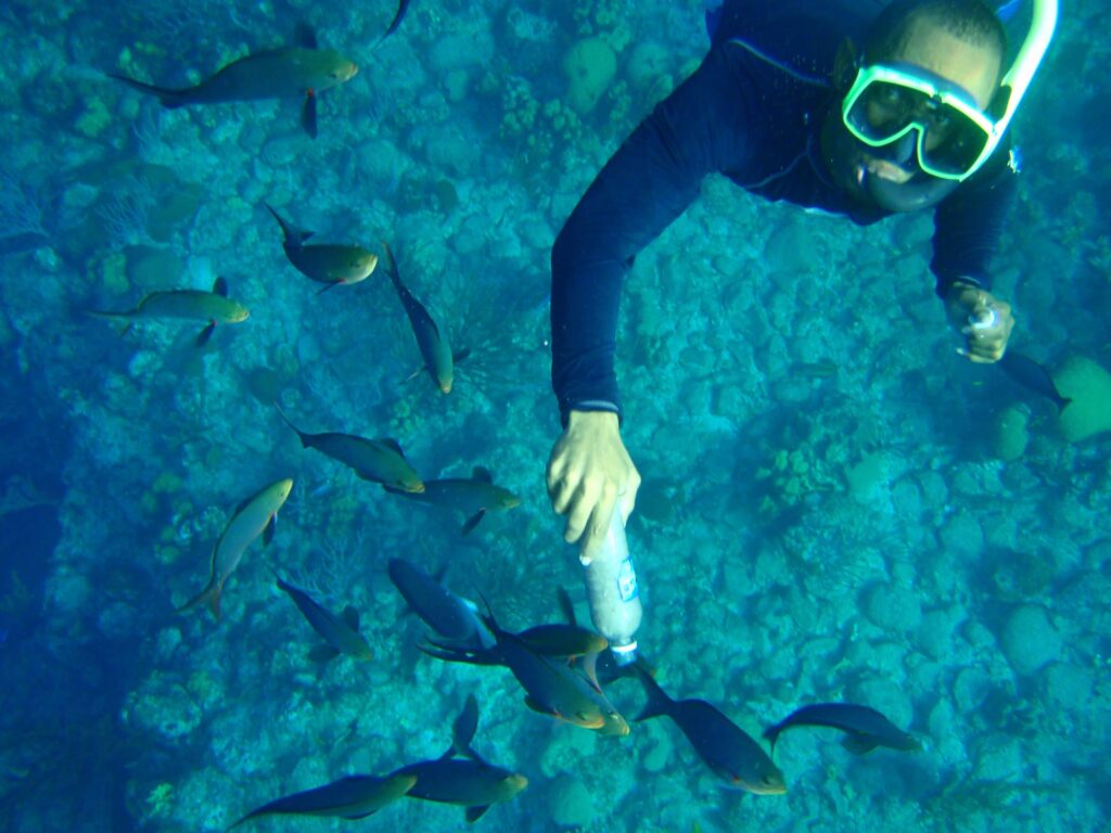 Snorkel túra a Round Cay-nél és a Horseshoe Reef-nél