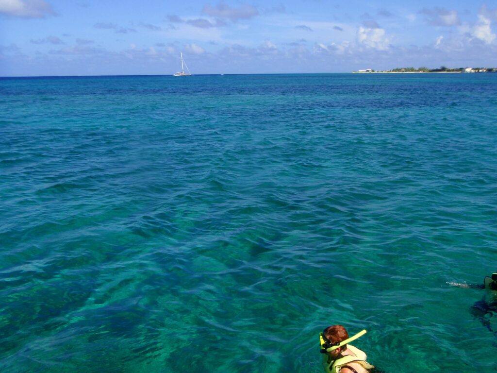 Snorkel túra a Round Cay-nél és a Horseshoe Reef-nél