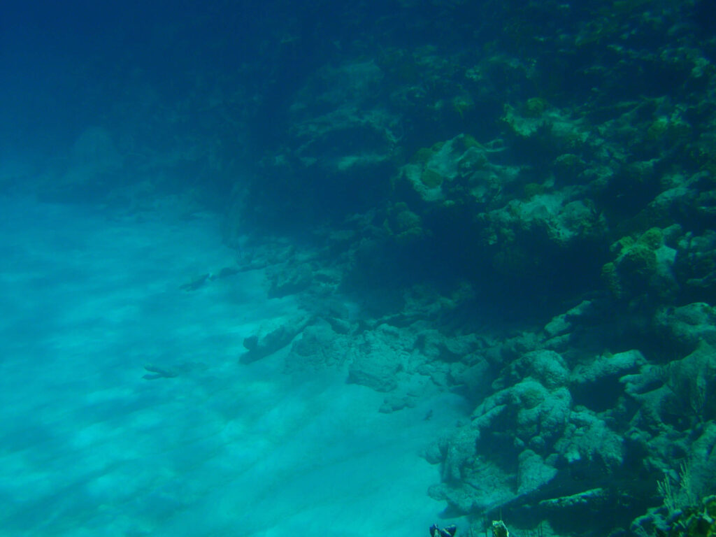 Snorkel túra Half Moon Cay-nél