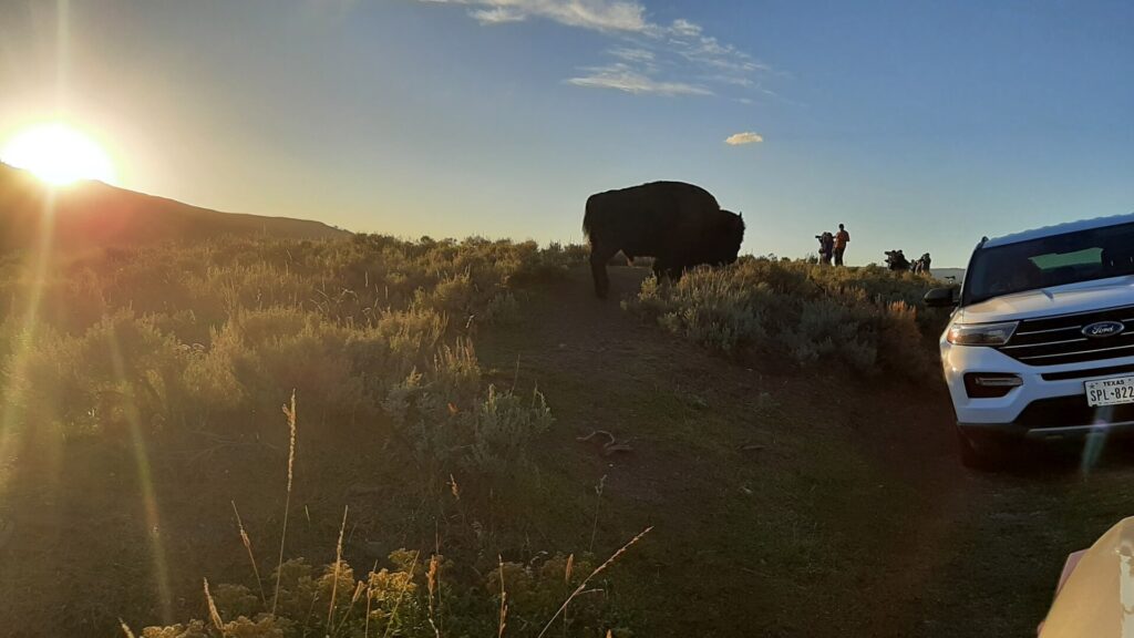 Kék Utazó Autóbérlés Yellowstone Nemzeti Park