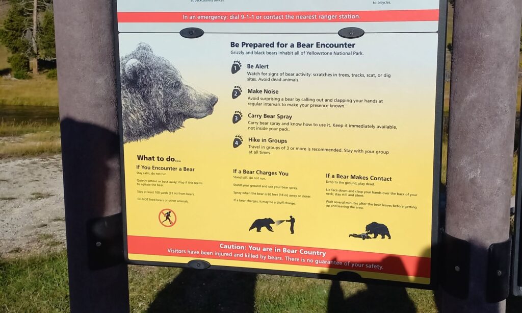 Kék Utazó - Yellowstone Nemzeti Park - hogyan védekezzünk medvetámadás ellen?