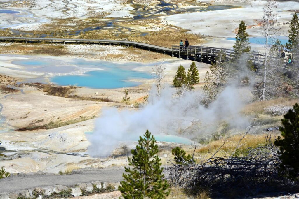 Kék Utazó - Yellowstone Nemzeti Park látnivalók - Norris Geyser Basin