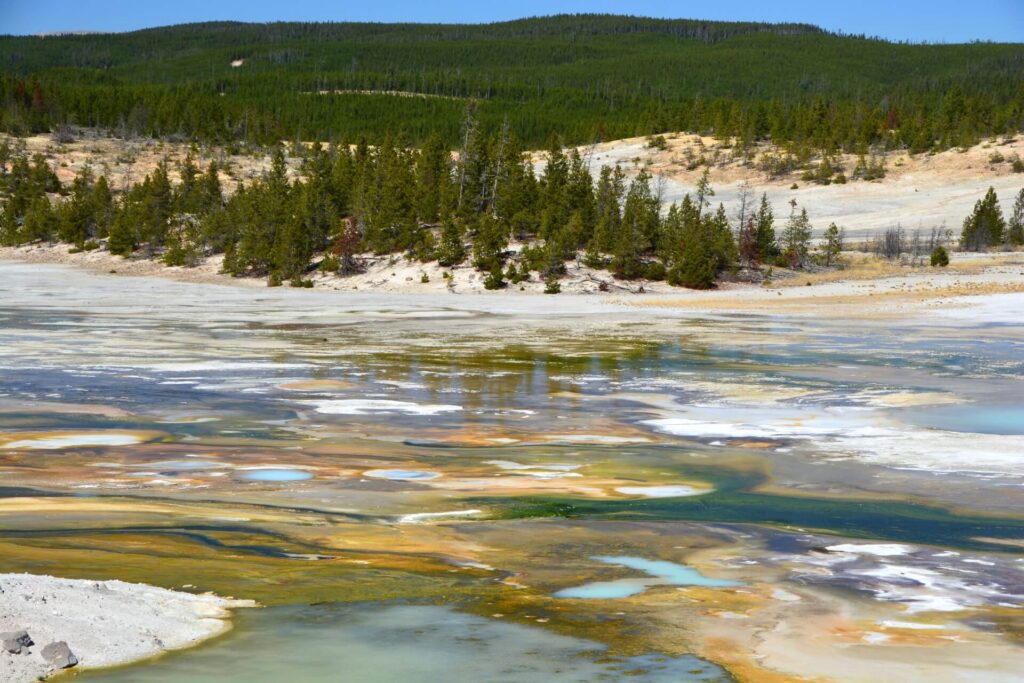 Kék Utazó - Yellowstone Nemzeti Park látnivalók - Norris Geyser Basin