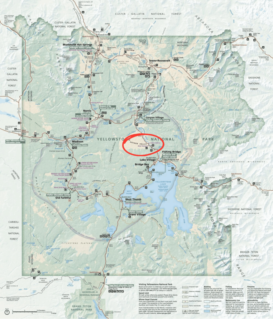 Kék Utazó - Yellowstone Nemzeti Park látnivalók - Hayden Valley vadvilág