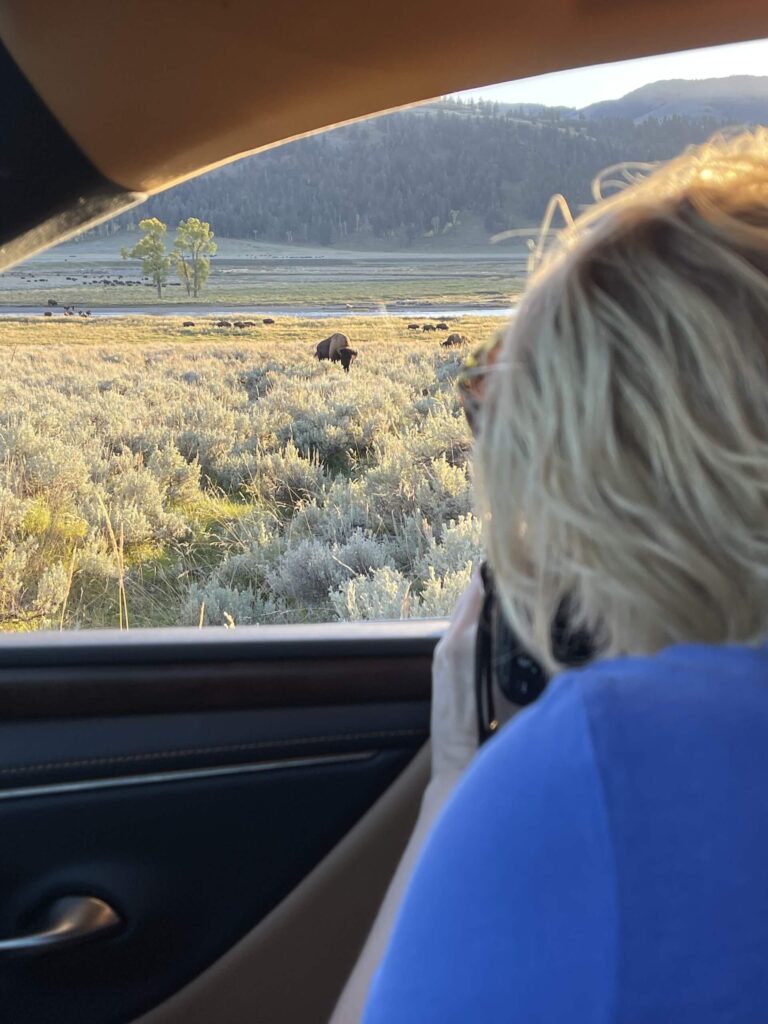 Kék Utazó - Yellowstone Nemzeti Park látnivalók