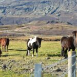 Kék Utazó - Izland látnivalók