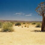 Kék Utazó - Namíbia látnivalók