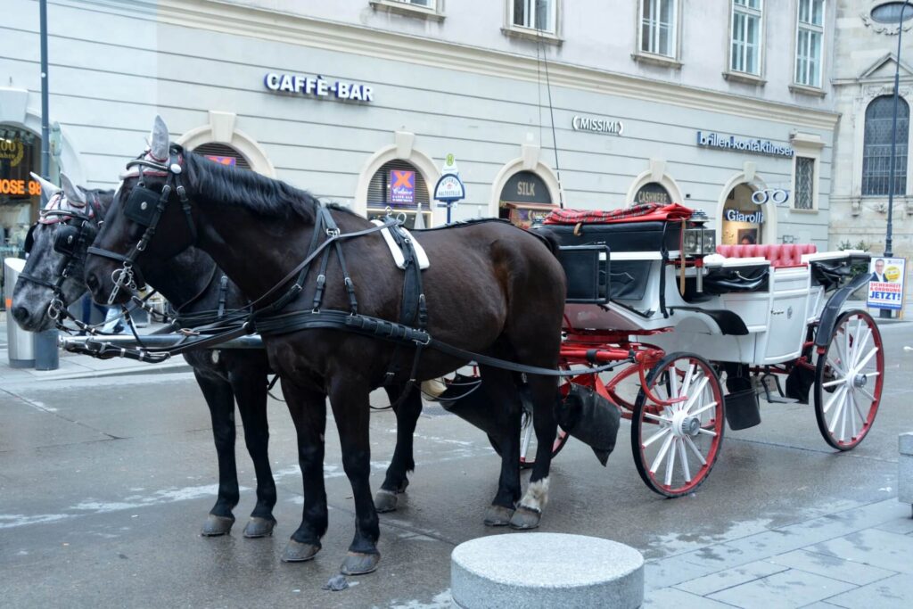 Kék Utazó - Bécs látnivalók - Hofburg