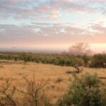 Kék Utazó - Dél-afrikai Köztársaság látnivalók - Kruger Nemzeti Park