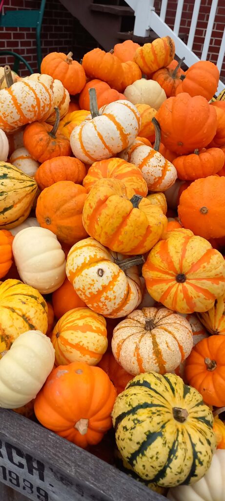 Kék Utazó - Halloween története dekorációk