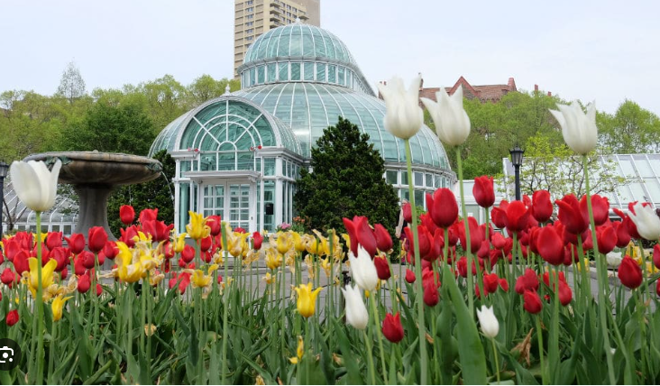 Kekutazo - USA Top 50 látnivaló New Yorkban - Brooklyn Botanic Garden