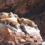 Kék Utazó - Peru utazás