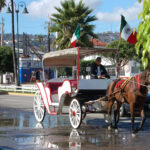 Kék Utazó - Mexikói utazás