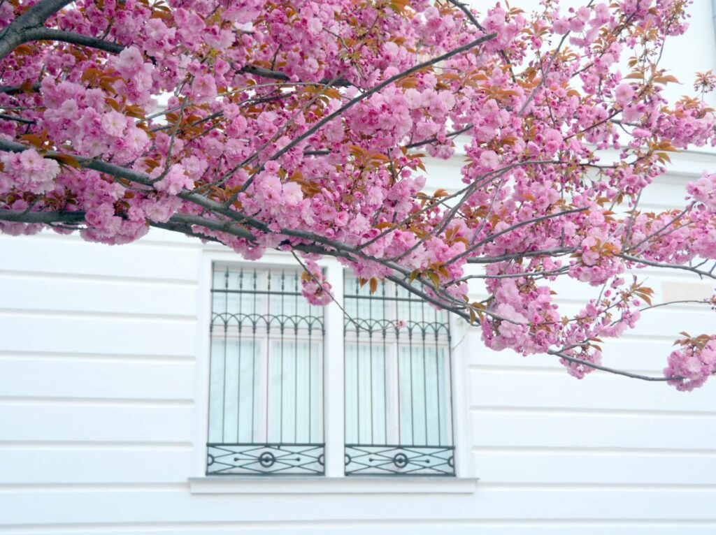 Kék Utazó - munkaszüneti napok 2026 tavasz