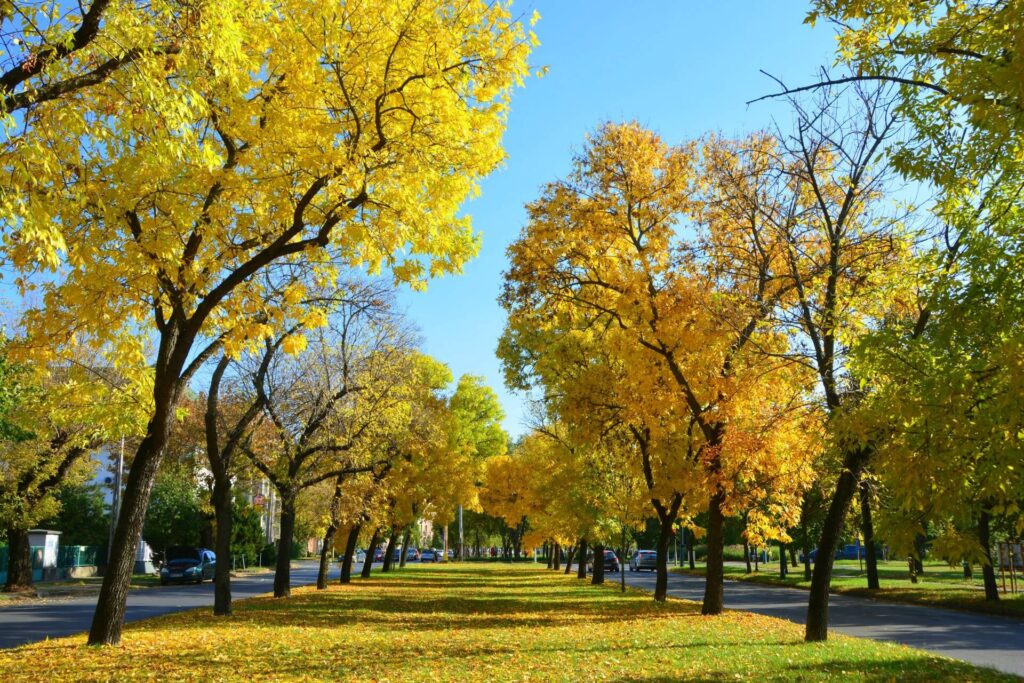 Kék Utazó - munkaszüneti napok 2026 Őszi szünet