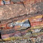 Kék Utazó - Arizona -Petrified Forest National Park