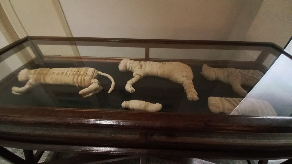 Kék Utazó - Egyiptom - Szakkara - Imhotep múzeum