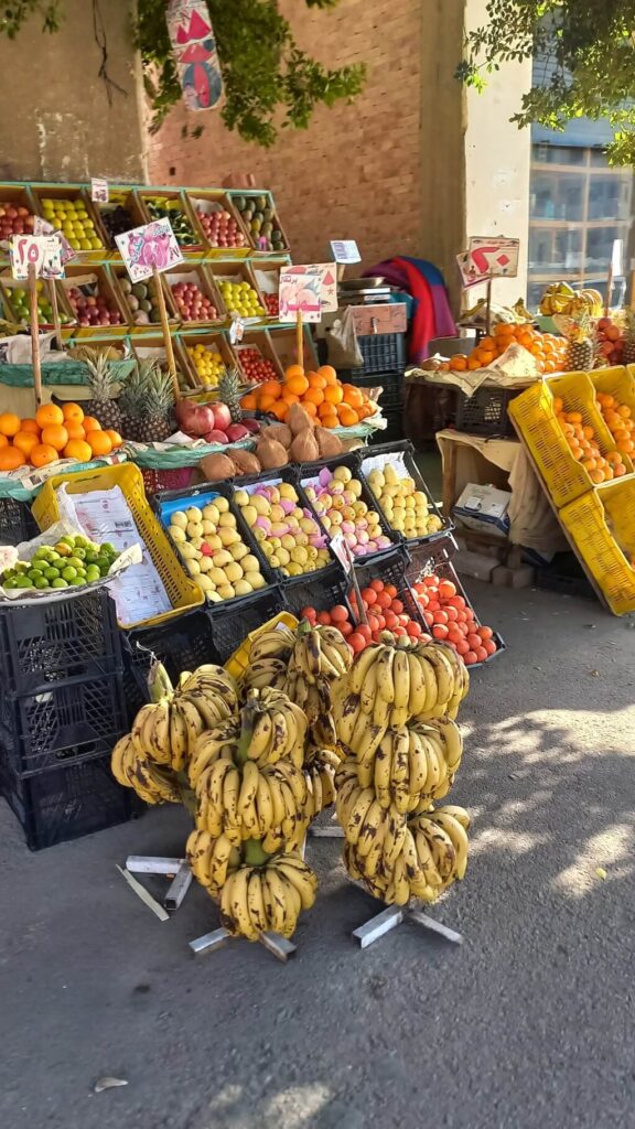 Kék Utazó - Egyiptom