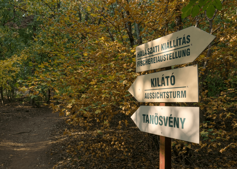 Kék Utazó - Állatkertek, vadasparkok, szafari - Pákozdi Pagony Vadaspark és Arborétum