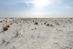 Kék Utazó - Új-Mexikó - White Sands