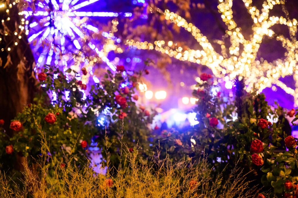 Kék Utazó - Adventi vásár 2026 - Kecskemét